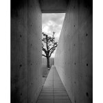 Via promenadearchitecture The Conference Pavilion, Tadao Ando, Germany | 건축, 모던 건축