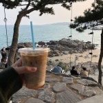 2018 여름 부산 웨이브온 하늘이랑 ! | Cà phê