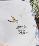 [johaegrim]붓펜캘리그라피 & 수묵일러스트 calligraphy by johae - 2021