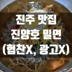 진주맛집 진주 대표 음식인 진양호 밀면 주차 팁 협찬x 광고x - 2022 진주맛집    진주 대표 음식인  진양호 밀면   주차 팁  협찬x  광고x - 2022
