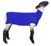 Goat & Sheep에 관한 48개의 최상의 Pinterest 이미지 | 농장 동물, 염소 및 건강관리 Goat & Sheep