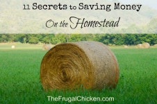 frugal living에 관한 20개의 최상의 Pinterest 이미지 | 검소한 생활, 농장 생존 및 도움말 frugal living