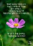 행복한 일요일 아침입니다!