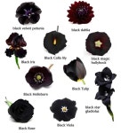 Botanika에 있는 핀