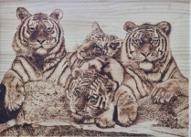 Pin by gemma RO on 나~의 혼+♡인두화 | Wood burning patterns, Pyrography, Wood burning art