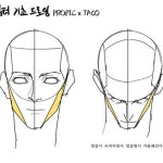 타코작가（@taco1704）• Instagram 相片與影片 | Anatomy sketches, Body reference drawing