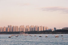 Pin page ttukseom | ttukseom han river park | han river | seoul | 뚝섬 | 뚝섬한강공원 | 한강 | 서울 | on film | 35mm in 2024... 
