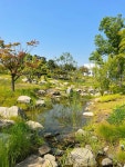 #seoul botanic park #green #greenhouse #서울특별시 #botanic #botanic garden #garden #plants #flowers #art #beauty #botanic park... 