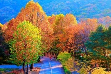 “단풍 절정, 이번주에 꼭 가세요”… 단풍과 둘레길을 동시에... 명소’ “단풍 절정, 이번주에 꼭 가세요”… 단풍과 둘레길을 동시에... 