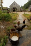 farm life에 관한 101개의 최상의 Pinterest 이미지 | 전원 생활, 시골 생활 및 농장 farm life