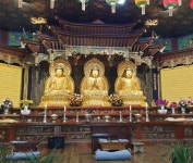 유여-buddhism~에 있는 핀