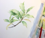 #수채화 #장미 #꽃다발 #일러스트 #손그림 #부산 #해운대 #취미미술 #성인미술 #보태니컬아트  #watercolor #watercolour #painting… | 나뭇잎... 