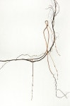 Flower constructions | 압화, 꽃장식, 꽃