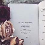 Wild에 관한 105개의 최상의 Pinterest 이미지 | 인생 인용구, 명언 및 Bad wolf Wild