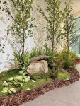 🌿 📁 Project : B the B, DDP 🙋♀️ Client : SBA, (주) 유니원커뮤니케이션즈 🌳 Type : Artificial Plants 📍 Location : 서울시 중구... 