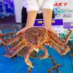 무오이 비엔의 해산물은 깐깐하게... 특히 킹크랩 찜은 무오이 비엔의 시그니처 메뉴로... 다낭해산물전문점 #무오이비엔씨푸드 #muoibienseafood