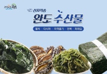 150401_농협a마켓 완도기획전.jpg | 디자인