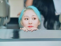미아 MIA UPDATE
