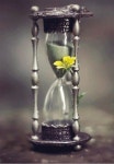 Pin by 경희 남 on Black and White with a Splash of Colour bay Vedrana Rog | Beautiful gif, Gif, Online photo editor