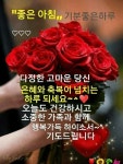 좋은아침 기분좋은 하루