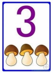 Pin de norian norian em 노리안 | Atividades para educação infantil, Projeto educação infantil, Numeros educação infantil