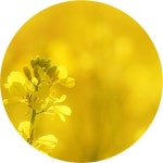 푸르지오웹진(Prugio Webzine) | 건설