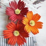 Hae Kyoung Kim /로단테 (@rhodanthe1216) • Instagram photos and videos | Papier quilling blumen, Quilling karten, Blumen selber... 