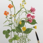 Pin page Illustrations Sharing Page(@illustrationow) • Instagram 사진 및 동영상 | Botanical drawings, Botanical painting... 