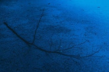 Pin page #블루-184 ( #Blue-184 ) 2018 - 2024