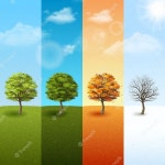 사계절 배경 벡터 일러스트 레이 션 | 프리미엄 벡터