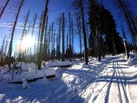 #릴게임pc빠칭코게임 #바카라폰배팅... in 2020 | Skiing, Outdoor, Snow