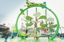 Florida Aquarium Luckey Climber | 놀이터, 종이접기, 재미