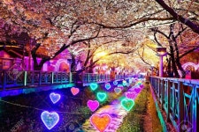 Republic of Korea에 있는 Korean Korea님의 핀