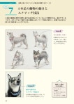 014.드로잉 퍼펙트 레슨(Drawing Perfect Lesson)에 있는 타란테라님의 핀