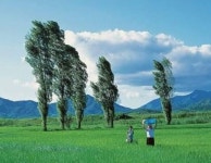 기타 1에 있는 천배 김님의 핀 - 2023 | 풍경 그림, 풍경화, 자연 사진