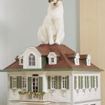 #miniature #dollhouse #roombox #미니어처 #돌하우스 #룸박스 #미니앤고양이 | Christmas cats, Doll house, Dollhouse furniture