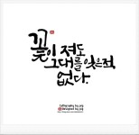 [좋은 글귀]감성가득한 명언 힐링타임 with 캘리그라피 오랜만에 순수작품을 들고온 돼지입니다.즐거운 수... | 명언, 영감을 주는 인용구, 인용구