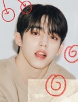 승철 seungcheol