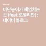 비단붕어가 헤엄치는 곳 (feat.로젤리안) : 네이버 블로그 | 블로그, 패턴