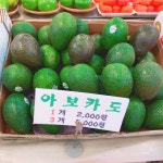 [191102] 원당시장 일일알바 그리고 고양 어울림누리 강아지 산책 : 네이버 블로그 - 2020 | 강아지, 돌 바닥, 과일 가게