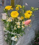홍대꽃집,서교동꽃집 | 뜰정 on Instagram: 봄꽃 친구들💛💐🌷✨ . #서교동꽃집#홍대꽃집추천 #홍대꽃다발#홍대꽃배달 Spring... 
