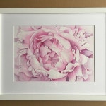 #акварель #watercolor #helleborus #botanical #botanicalillustration #botanicalart | 꽃