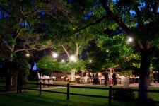 Wedding에 관한 72개의 최상의 Pinterest 이미지 | 결혼식 아이디어, 텐트 및 꿈의 결혼식 Wedding