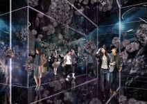 최토끼 Museum Designer & Exhibition Director