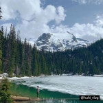 벤쿠버 너란 녀석,, 자연도 도시도 다 좋음(*°▽°*... (게시:2019-05-28 13:37:04) | 여행, 항공