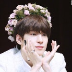 Pin by 윤정 on dong | Wonwoo, Short stories, Story