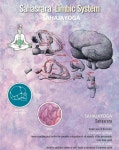 Pin by 관회 최 on meditaion | Sahaja yoga meditation, Sahaja yoga, Chakra yoga