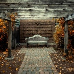 Cozy Place | 집