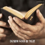 시리즈 상세보기 - 2020 | 영감을 주는 인용구, 어록, 자존감