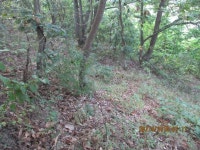 korea. Home. Mother.에 있는 핀